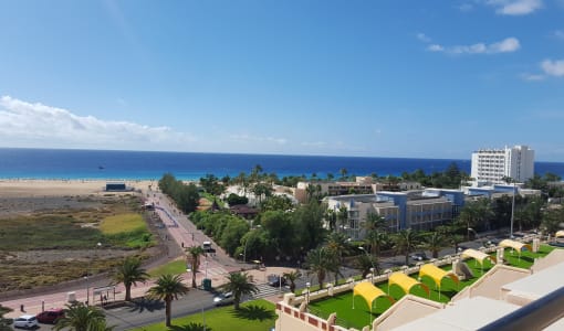 Apartment Palm Garden
