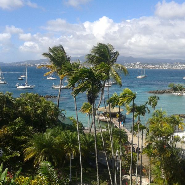 Klimatabelle Martinique Temperatur • Beste Reisezeit • Wetter