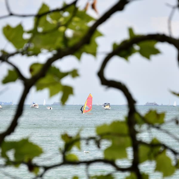 Blick durch Baum auf Windsurfer zwischen Booten auf dem Bodensee © iStock.com/cwzahner