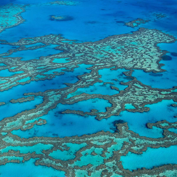 Blick von oben auf das Great Barrier Reef in Queensland, Australien © Jon Foster/HUBER IMAGES