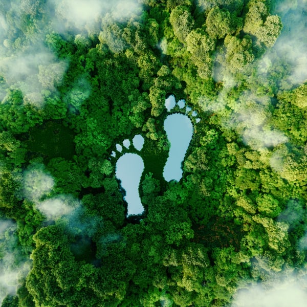 CO2-neutraler Fußabdruck © Petmal/iStock / Getty Images Plus via Getty Images