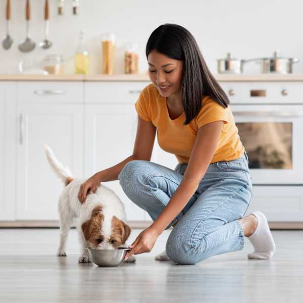 Eine Frau und ein Hund stehen in einer Küche. Die Frau hält dem Hund einen Fressnapf hin und er frisst.