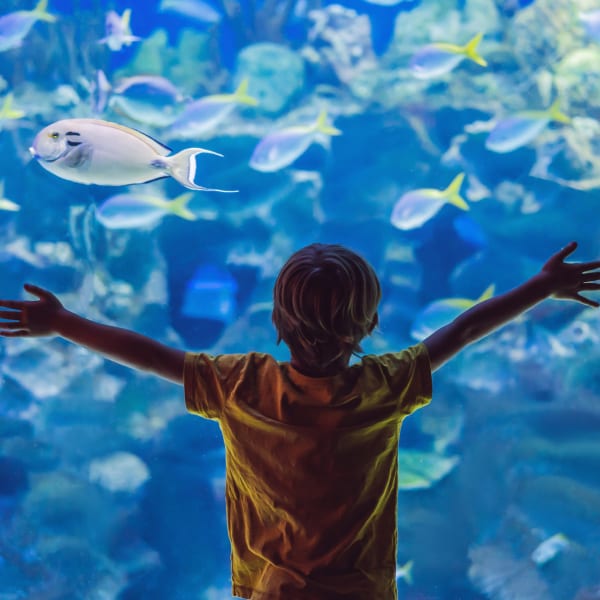 Kind im Palma Aquarium, Mallorca © galitskaya/iStock / Getty Images Plus via Getty Images