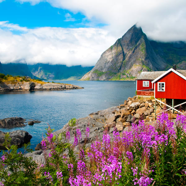 Landschaft mit roten Fischerhäusern auf den Lofoten, Norwegen © iStock.com/MariaUspenskaya