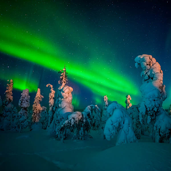 Nordlichter in Lappland, Finnland, Skandinavien ©Martha Feustel/HUBER IMAGES