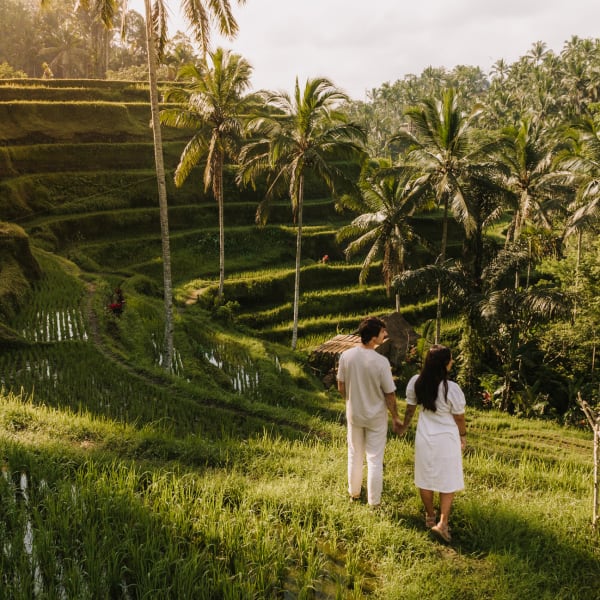 Paar bei den Reisterrassen, Bali © raquel arocena torres/Moment via Getty Images