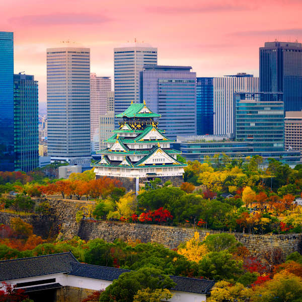 Die Burg von Osaka im Vordergrund, umringt von herbstlich gefärbten Bäumen, und moderne Hochhäuser im Hintergrund