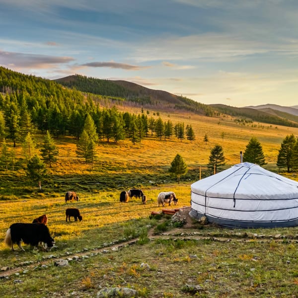 Steppe, Mongolei © Christian Kornacker - stock.adobe.com
