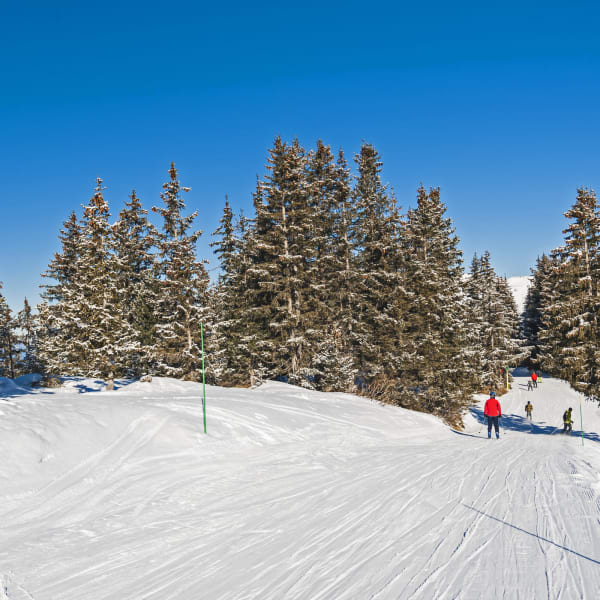 Sudelfeld Skigebiet in Bayern © PaulVinten/iStock / Getty Images Plus via Getty Images