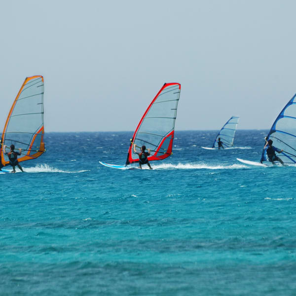 Vier Windsurfer fahren gemeinsam im Meer © iStock.com/binabina