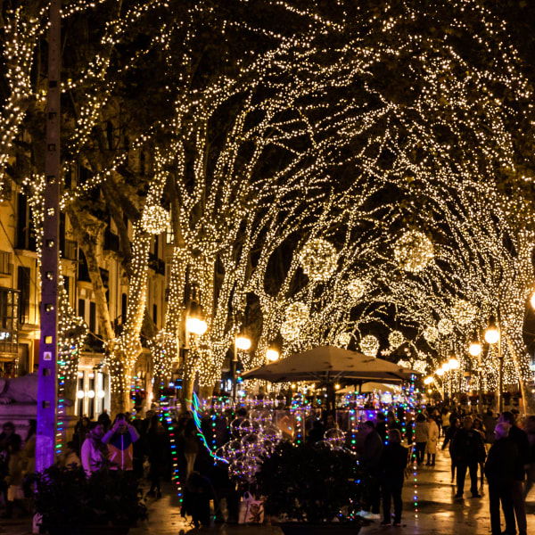 Weihnachtsbeleuchtung am Passeig del Born, Mallorca © iStock.com/Jeanne Emmel
