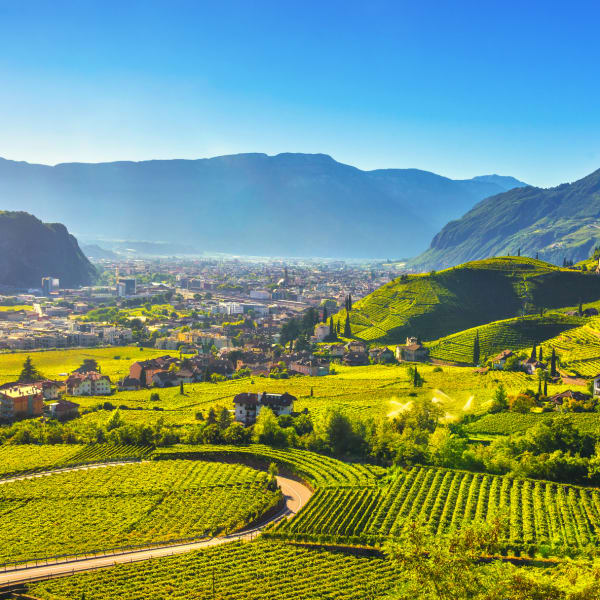 Weinberge in Bozen, Südtirol © StevanZZ/iStock / Getty Images Plus via Getty Images