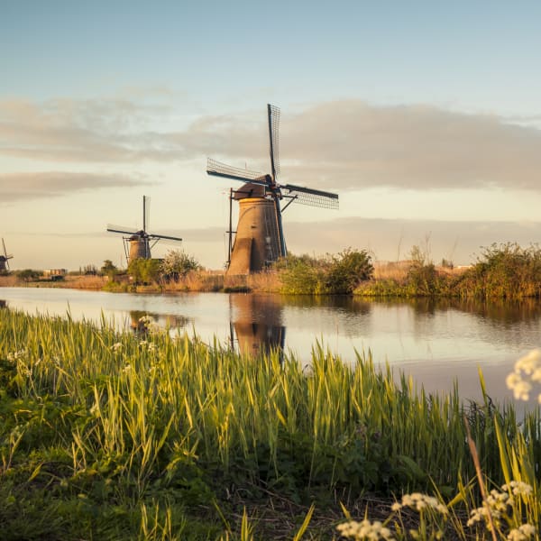 Windmühlen an einem Fluss in Kinderdijk, Niederlande © iStock.com/Brzozowska