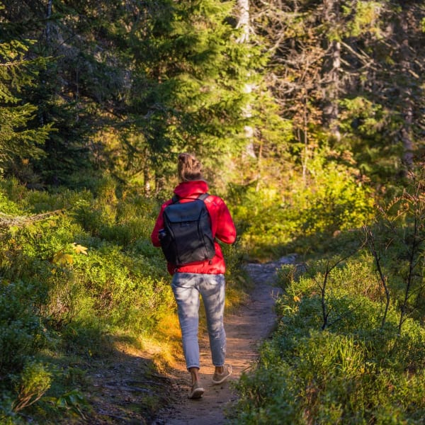 Eine Frau wandert auf einem schmalen Pfad im Schwarzwald.