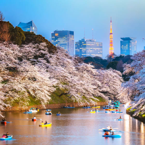 Fluss in Tokio mit der Skyline der Stadt im Hintergrund während der Kirschblütenzeit.