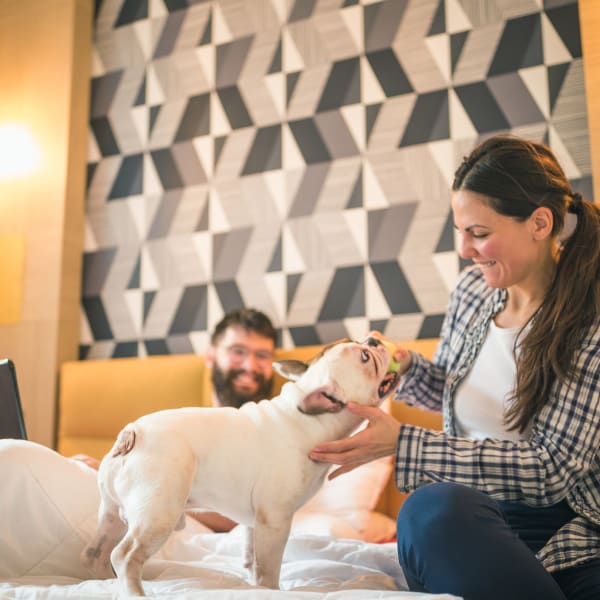 Frau spielt mit ihrem Hund auf dem Bett in einem Hotelzimmer. © NoSystem images/E+ via Getty Images