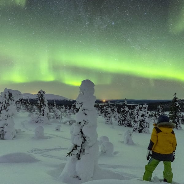 Nordlichter über einem schneebedecktem Wald in Lapland, Finnland.