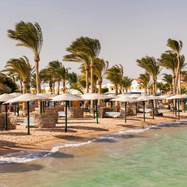 Palmen und Sonnenliegen am Strand von Hurghada am Roten Meer.