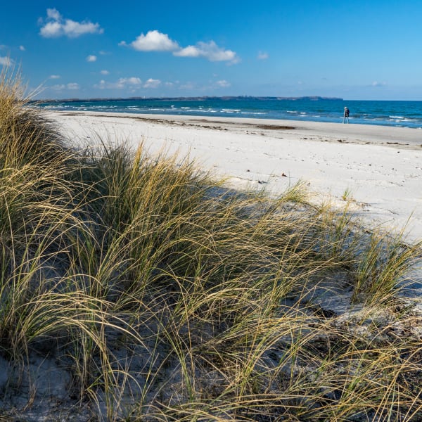 Der Strand von Schaaben bietet viel Zurückgezogenheit