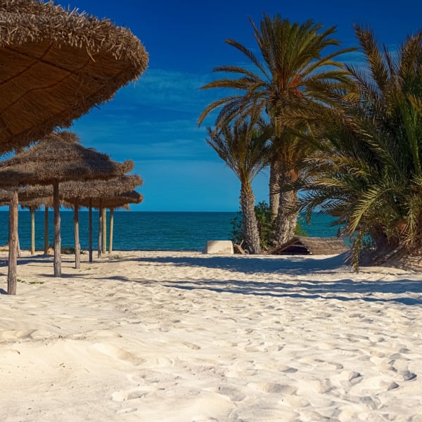 Sonnenschirme und Palmen am weißen Sandstrand auf der Insel Djerba, Tunesien