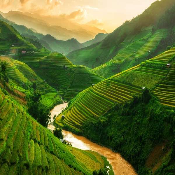 Die Natur in Vietnam ist atemberaubend. © Blue Planet Studio/Shutterstock.com