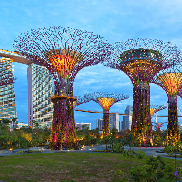 Supertrees am Abend im Gardens by the Bay in Singapur.