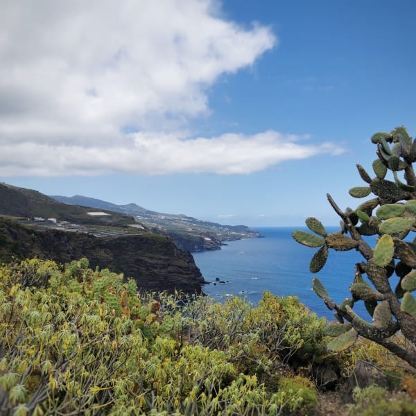 Tropische Landschaft, La Palma, Spanien