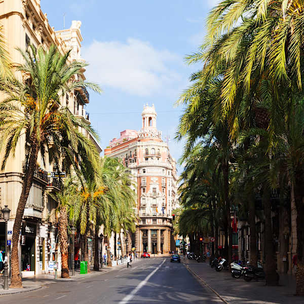 Blick durch die palmengesäumte Straßen der Altstadt in Valencia.