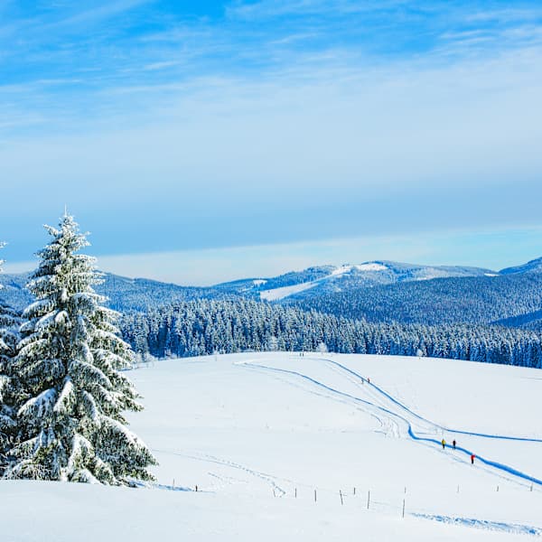 Winterlandschaft am Schauinsland im Schwarzwald, in der Nähe von Feldberg, Deutschland. © PK-Photos via Getty Images