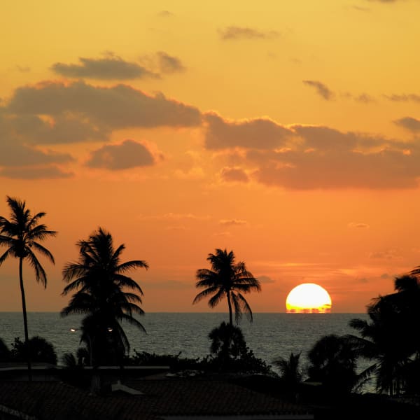 Strand mit Palmen bei Sonnenuntergang