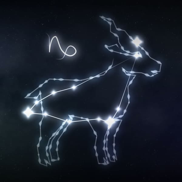 Sternzeichen Steinock