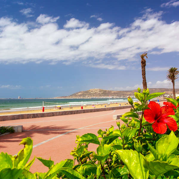 Eine Strandpromenade mit Blumen