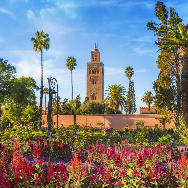 Koutoubia Moschee und Garten in Marrakesch, Marokko