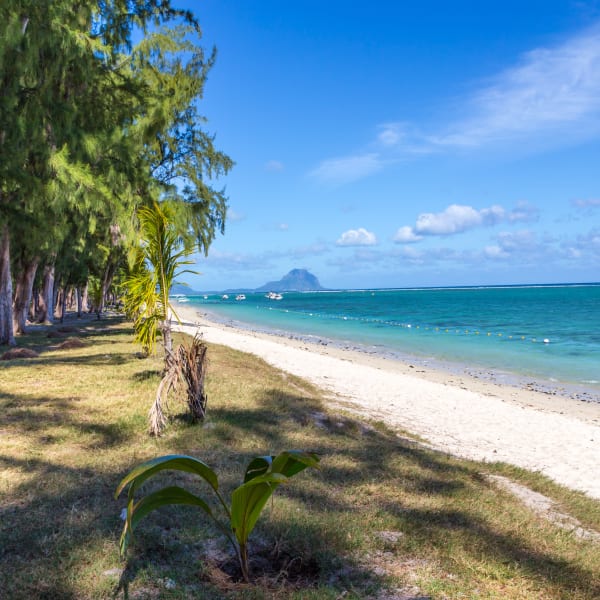 Strand Flic en Flac, Mauritius Westküste