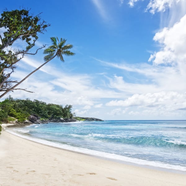 Strand Silhouette Island, Seychellen