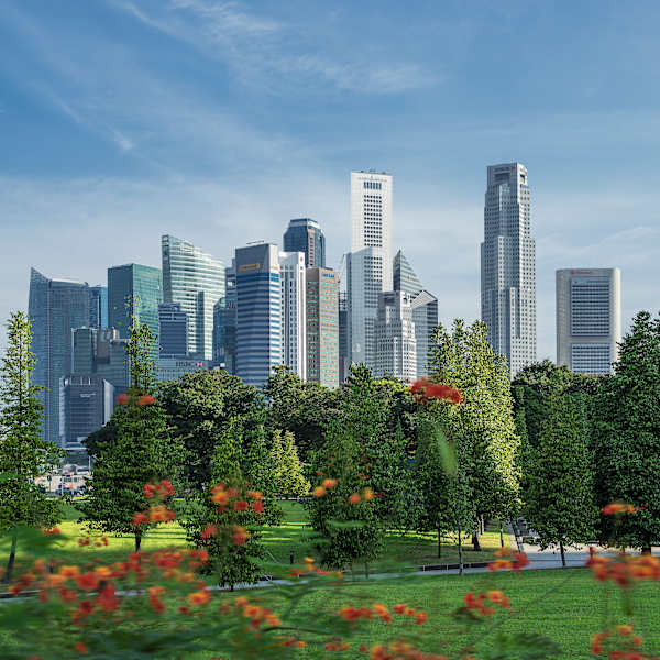 Skyline bei blauem Himmel  mit einem Park im Vordergrund