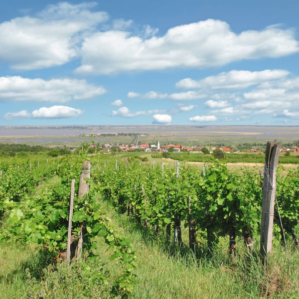 Mörbisch am See, Burgenland, Österreich