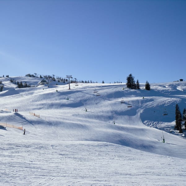 Skipiste, Ellmau am Wilden Kaiser, Tirol