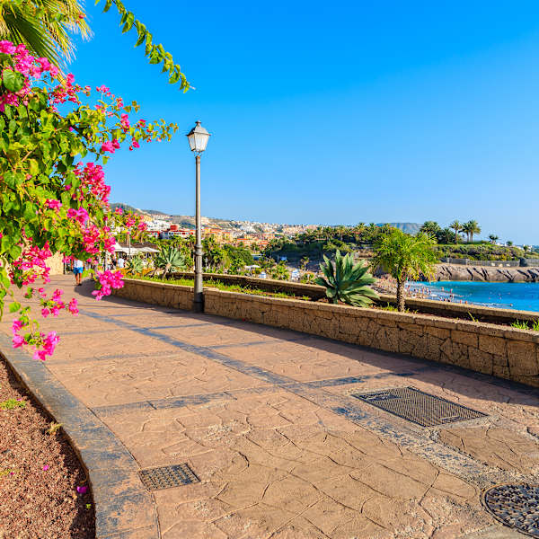 Eine Strandpromenade mit Blumen und Palmen