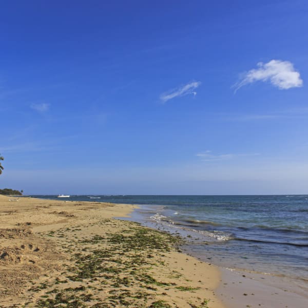 Playa Dorada, Dominikanische Republik
