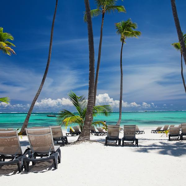 Ein Strand mit Palmen und Liegen