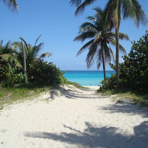 Scenic View Of Sand Against Sea