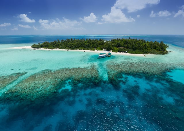 Embudu Village Maldives схема отеля