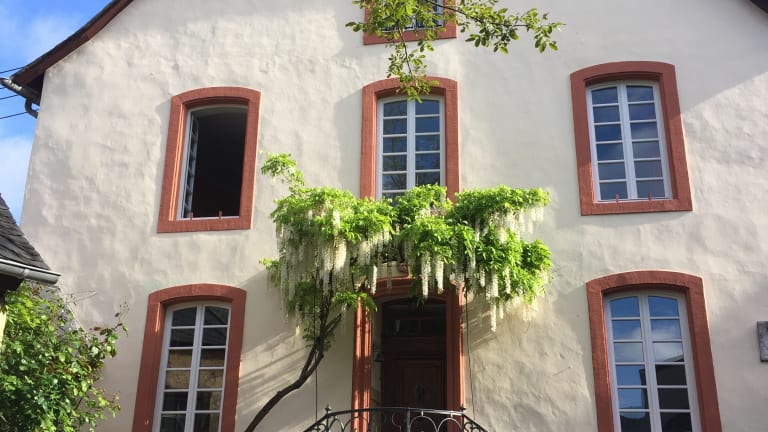 Echternacher Hof B&B (Kinheim): Alle Infos Zum Hotel