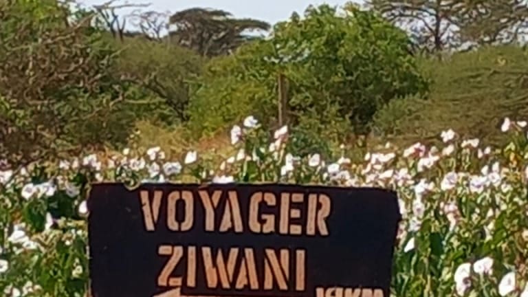 voyager ziwani tented camp