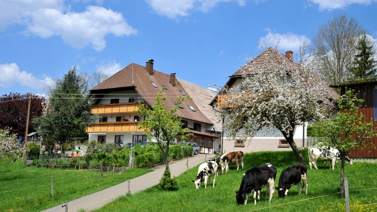 Fischerhof Urlaub Auf Dem Bauernhof Winden Im Elztal Holidaycheck Baden Wurttemberg Deutschland