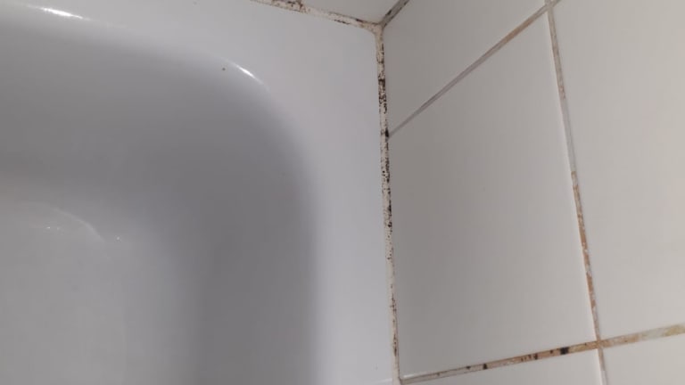 Hotel Am Stern Steimbke Holidaycheck Niedersachsen Deutschland