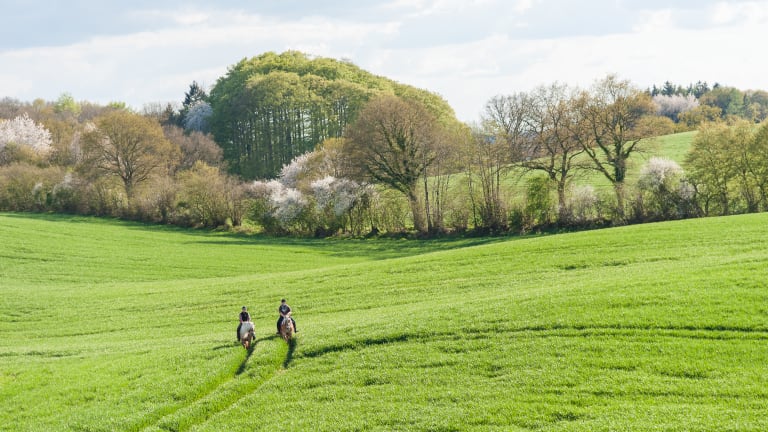 Ferienhof Radlandsichten (Malente): Alle Infos zum Hotel