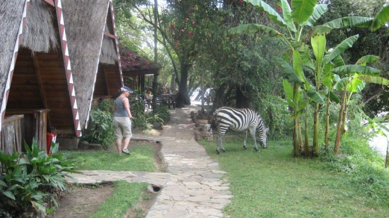 Hotel Mara Buffalo Camp  Narok      HolidayCheck  Provinz Rift Valley