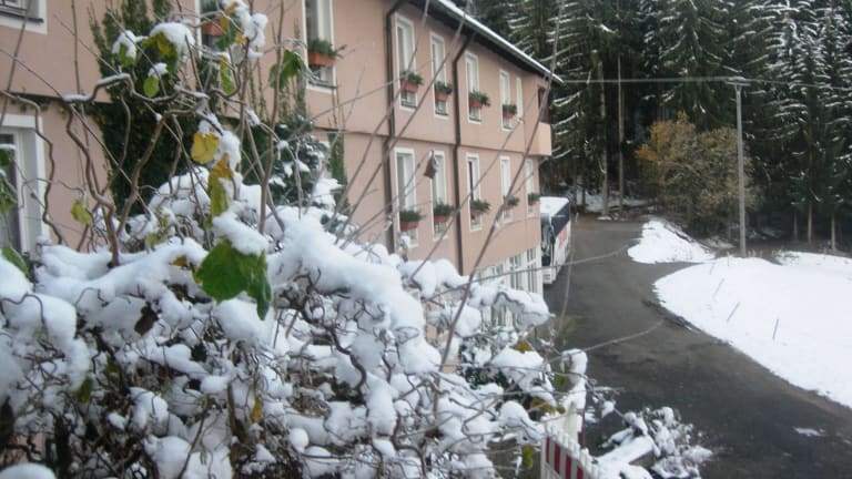 Schwarzwaldhotel Roter Bühl (Hofstetten) • HolidayCheck (Baden